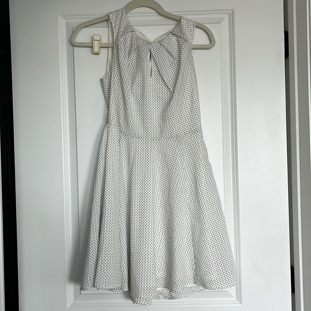 Express fit and flare business casual dress
